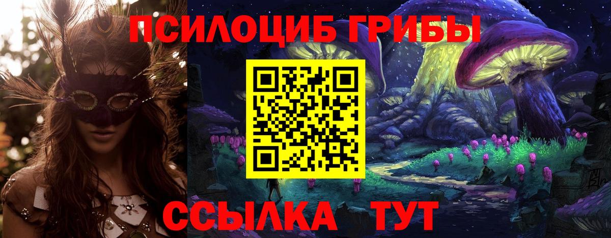 Псилоцибиновые грибы Cubensis Пыть-Ях
